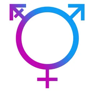 The Mainstream Journey for Transgenders