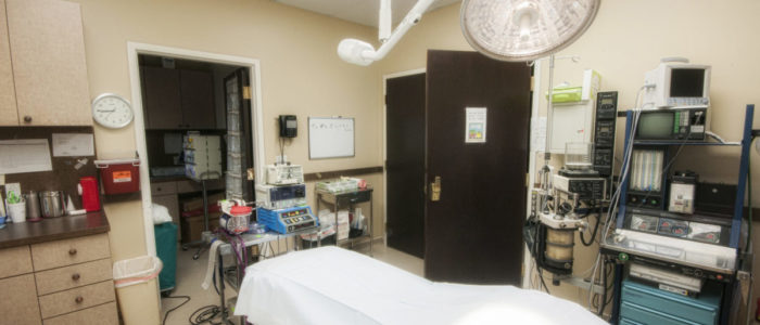 Facial Plastic Surgery in McLean, VA