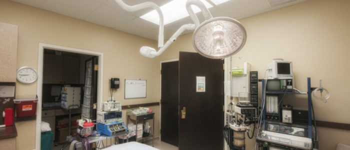 Facial Plastic Surgery in McLean, VA